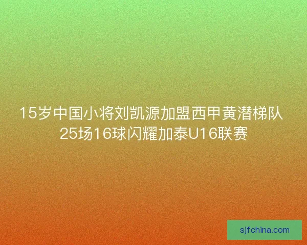 15岁中国小将刘凯源加盟西甲黄潜梯队 25场16球闪耀加泰U16联赛