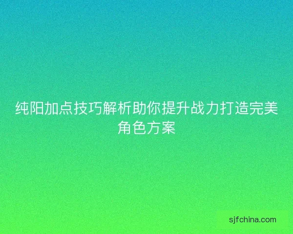 纯阳加点技巧解析助你提升战力打造完美角色方案