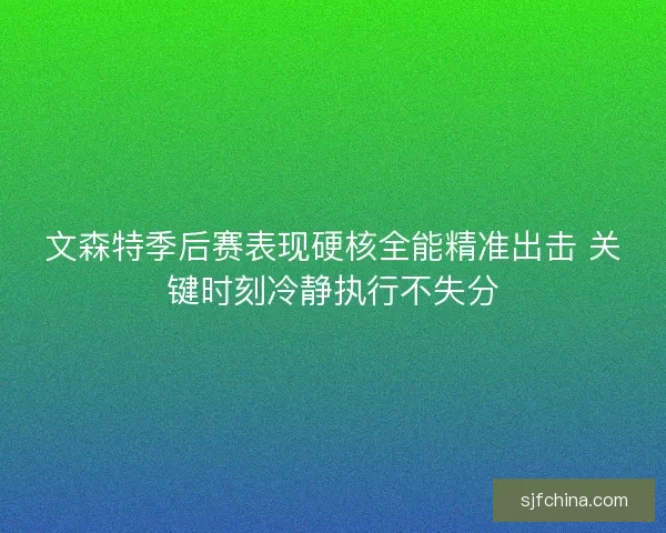 文森特季后赛表现硬核全能精准出击 关键时刻冷静执行不失分