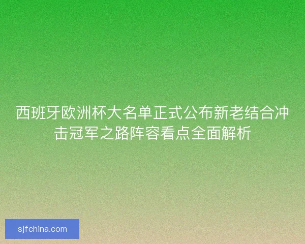 西班牙欧洲杯大名单正式公布新老结合冲击冠军之路阵容看点全面解析