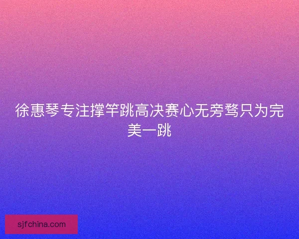 徐惠琴专注撑竿跳高决赛心无旁骛只为完美一跳