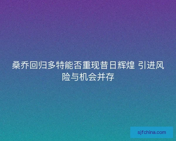 桑乔回归多特能否重现昔日辉煌 引进风险与机会并存 桑乔回归多特能否重现昔日辉煌 引进风险与机会并存